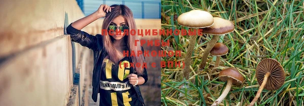 альфа пвп Богданович