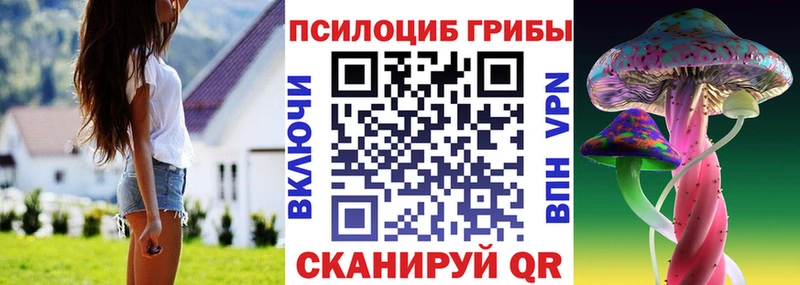 Псилоцибиновые грибы мухоморы  Купино 